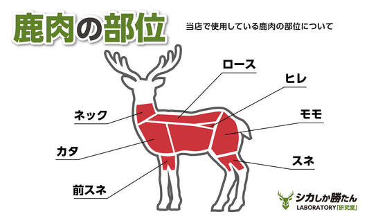 当店で使用している鹿肉の部位について