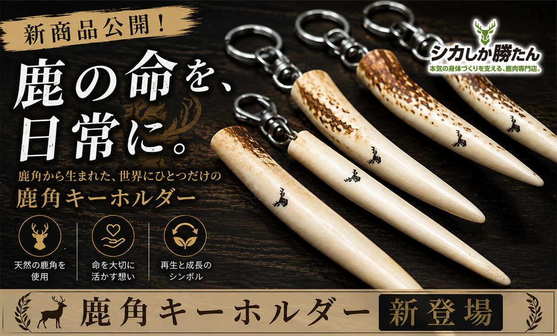 新商品「鹿角キーホルダー」販売開始のお知らせ