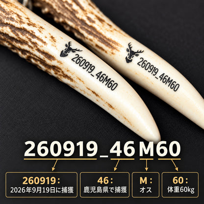 鹿角キーホルダーに刻印された個体番号「260919_46M60」の説明。2026年9月19日、鹿児島県で捕獲された体重60kgのオス鹿を示す。