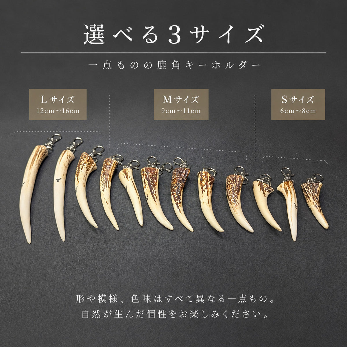 天然鹿角キーホルダーS・M・Lのサイズ比較